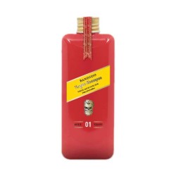 Shampoing homme Argan 350 ml BANDIDO
